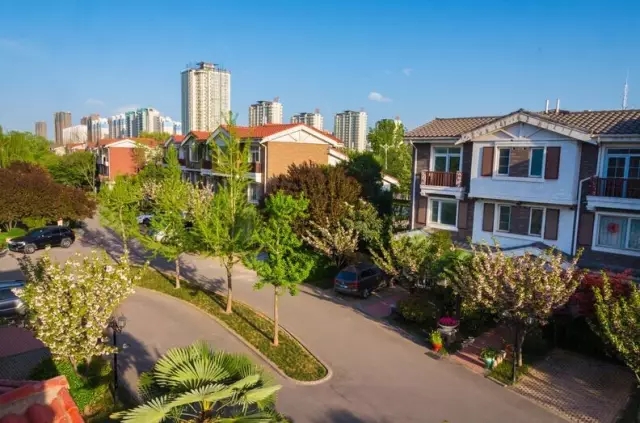 纸杯蛋糕 | 繁花五月，，，，唯爱绵绵